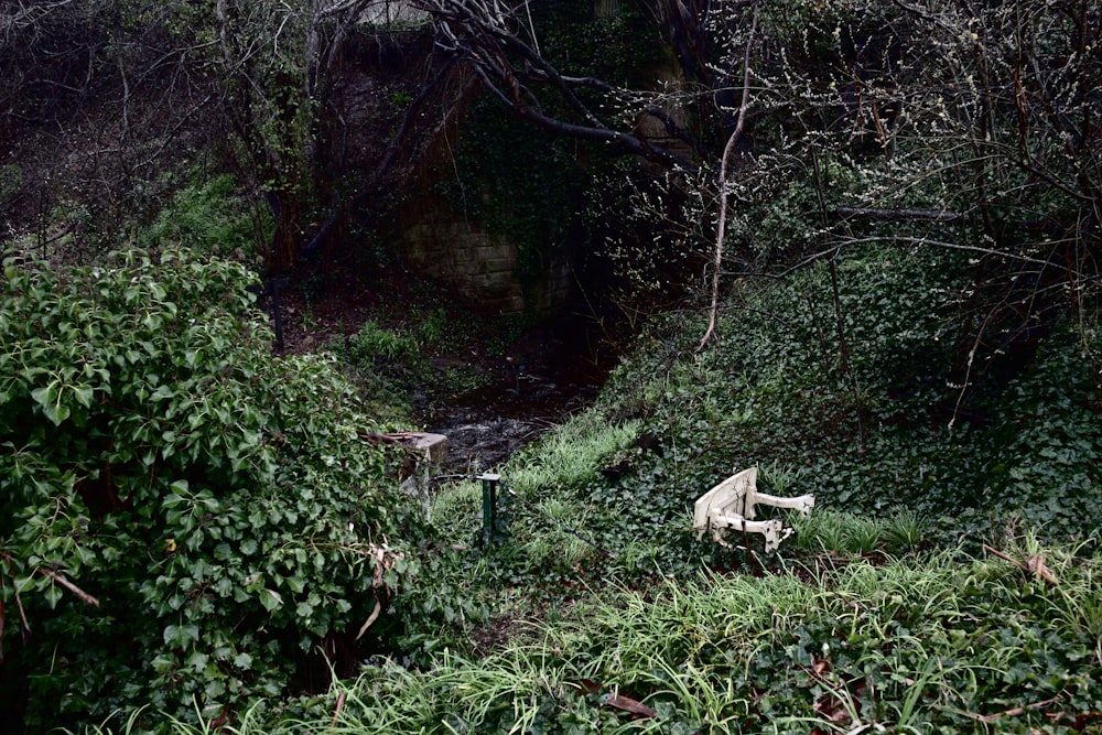 a wooden bench sitting in the middle of a forest