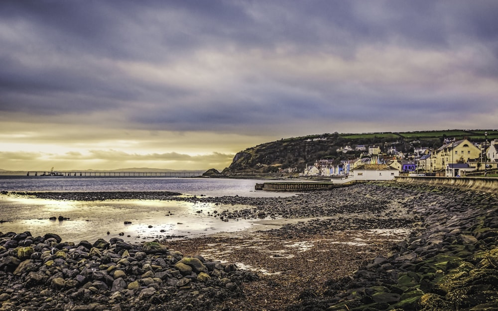 a rocky shore with houses on a hill in the background