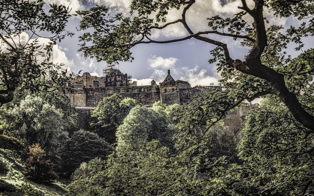 a view of a castle through the trees