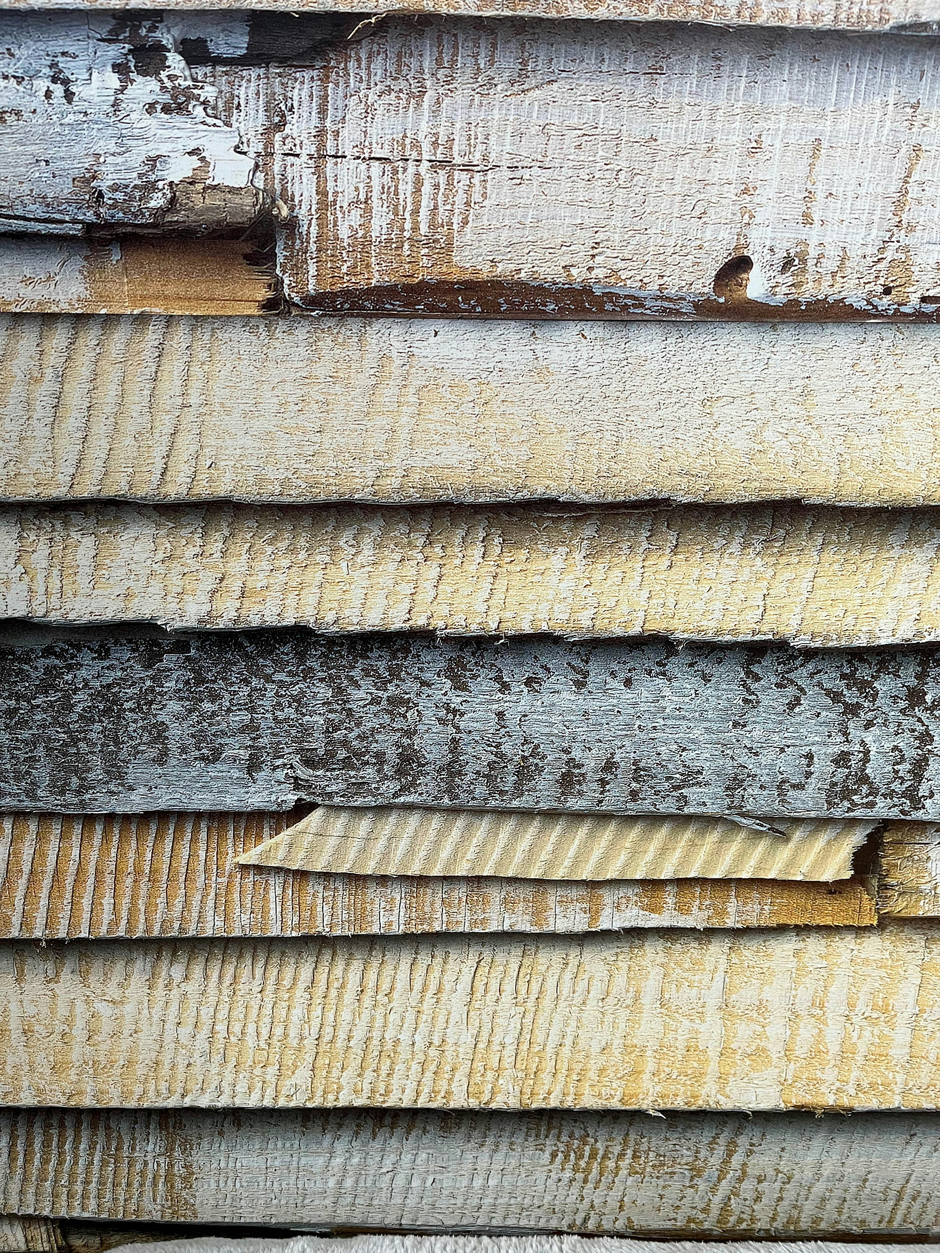 Photo by travelertraveler_