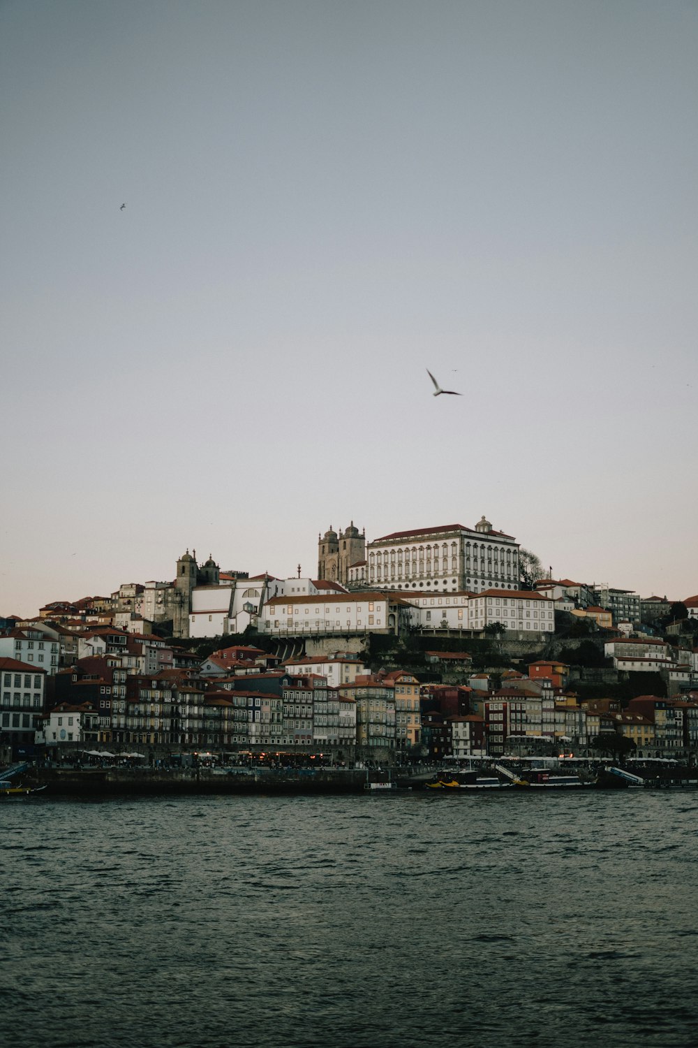 a bird flying over a city next to a body of water