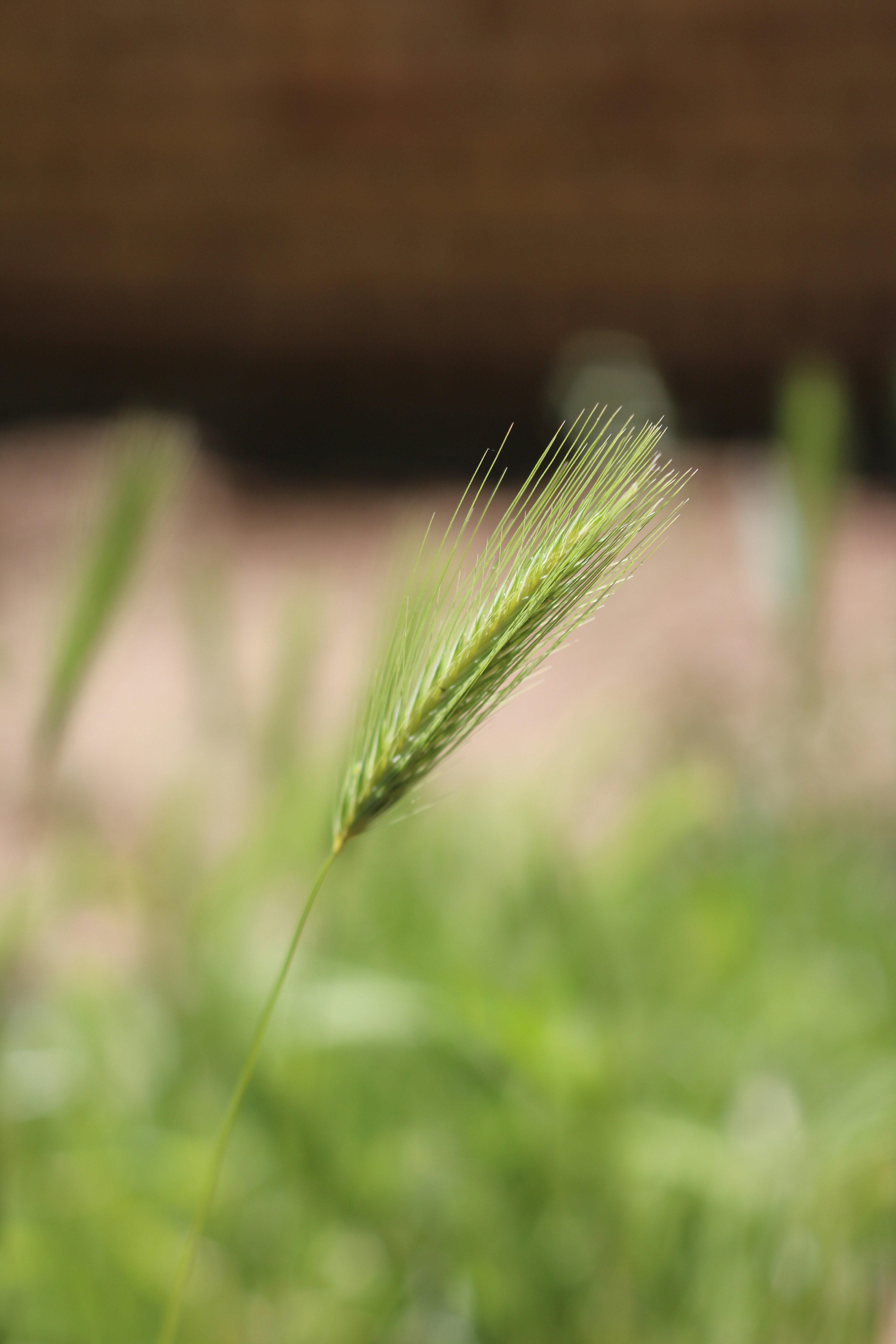 Photo by zeinabahmadpour