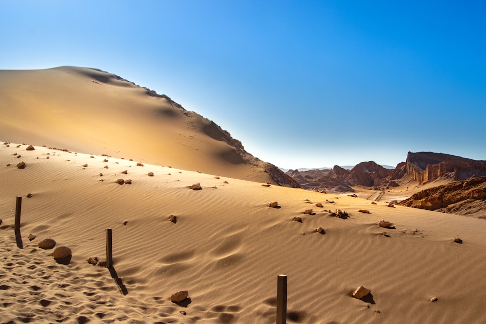 a desert with a mountain in the background