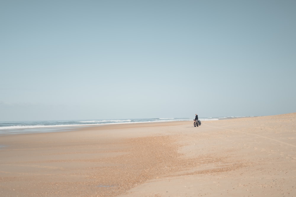 a person standing on a beach next to the ocean