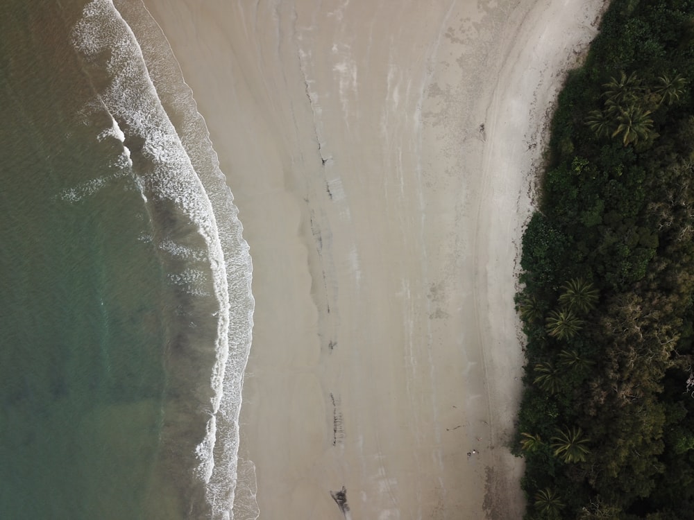 an aerial view of a sandy beach and ocean