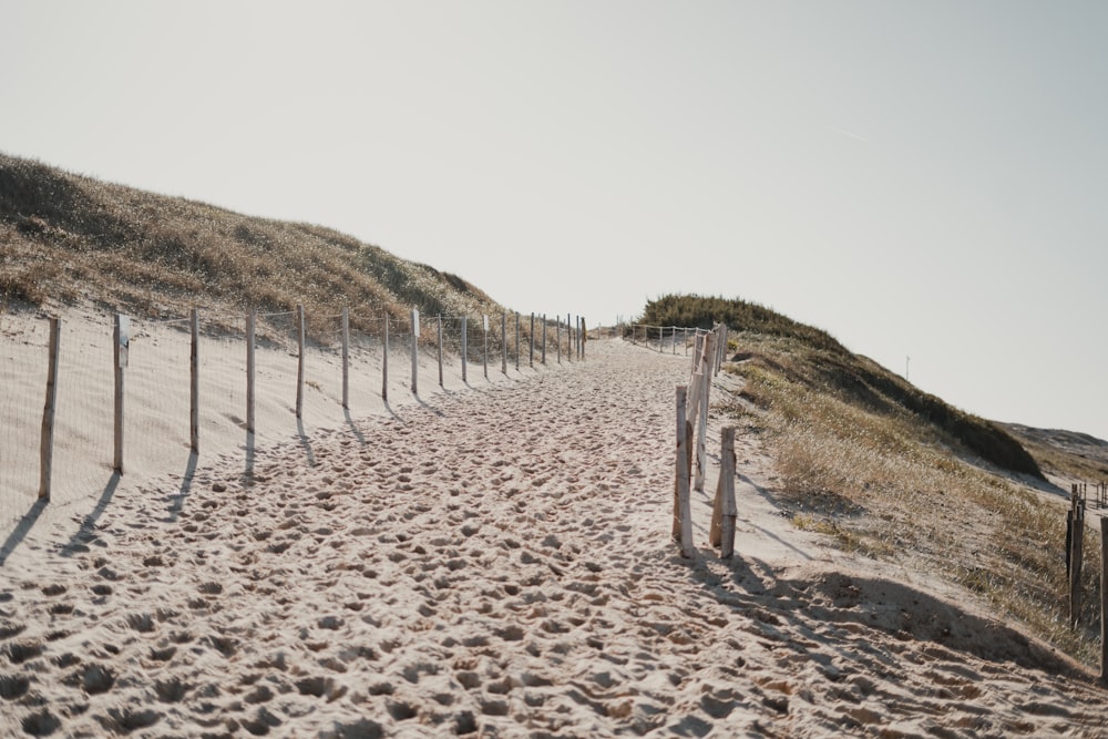 a sandy path leading to a grassy hill