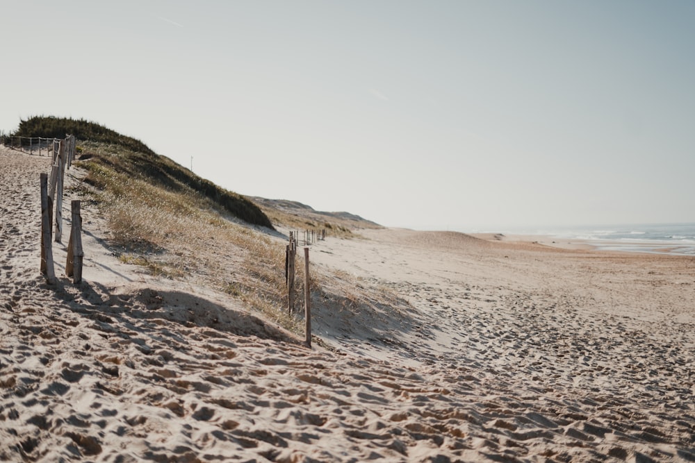 a sandy beach with a wooden fence on it