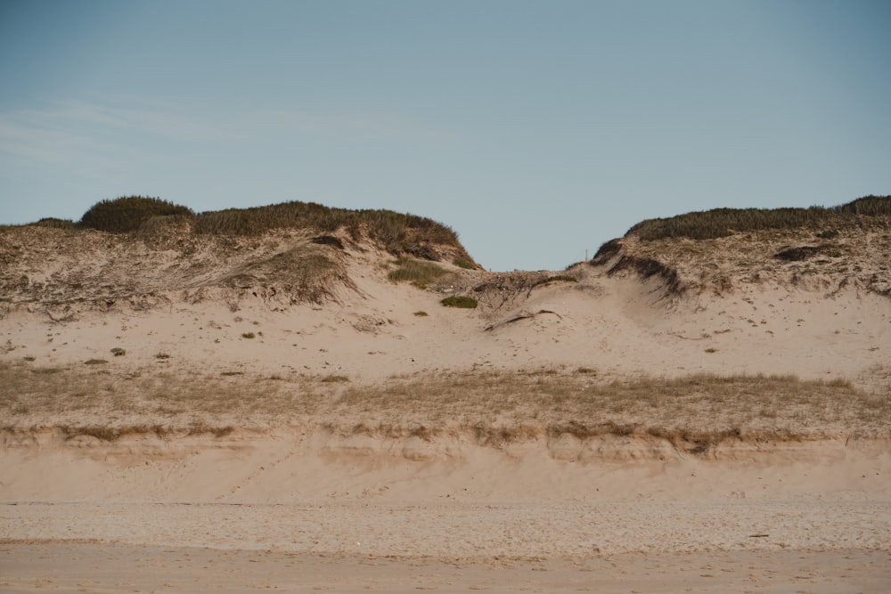 Una playa con dunas de arena y hierba encima