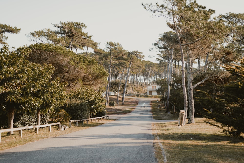 an empty road surrounded by trees and grass