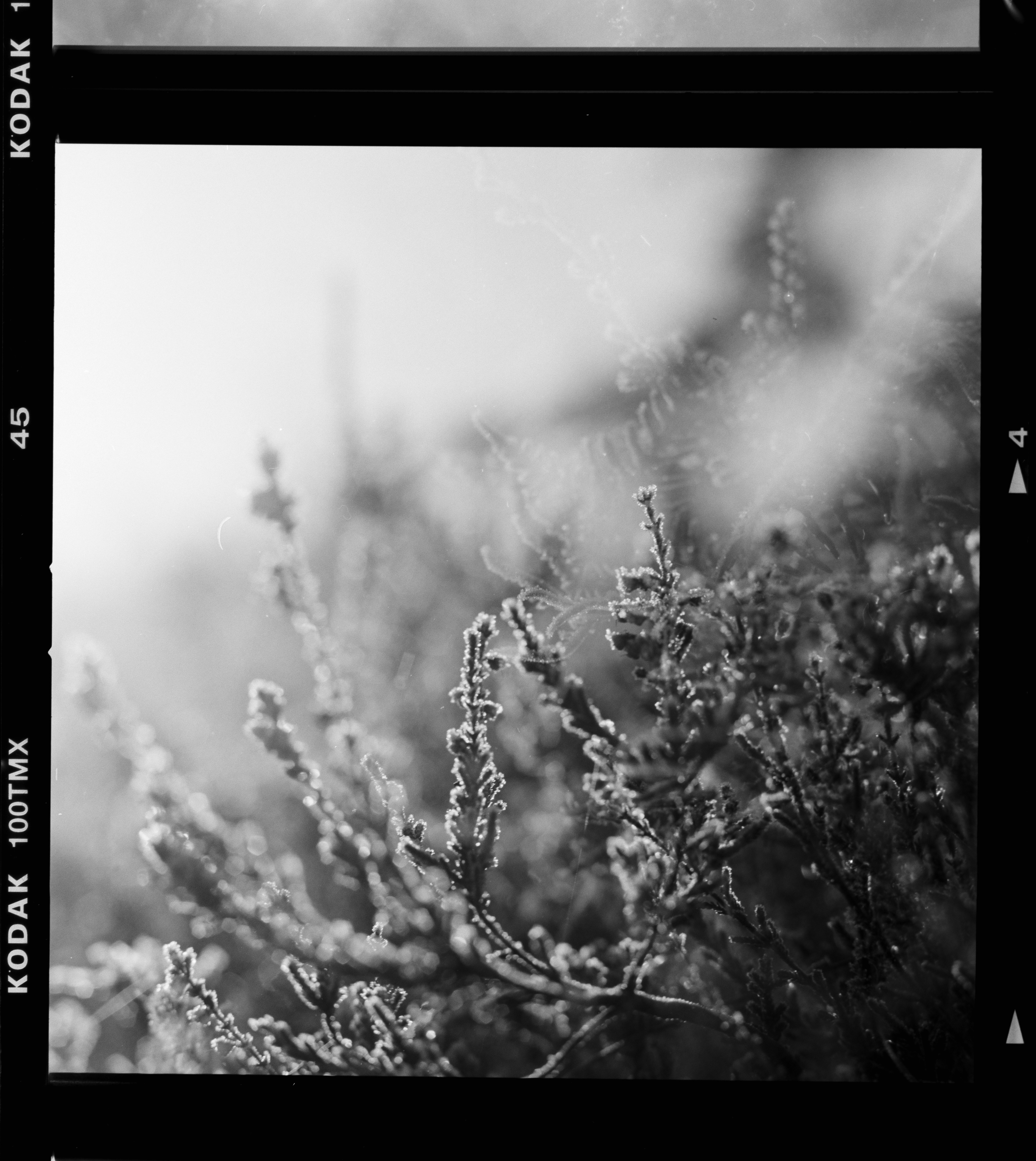 Photo by anniespratt