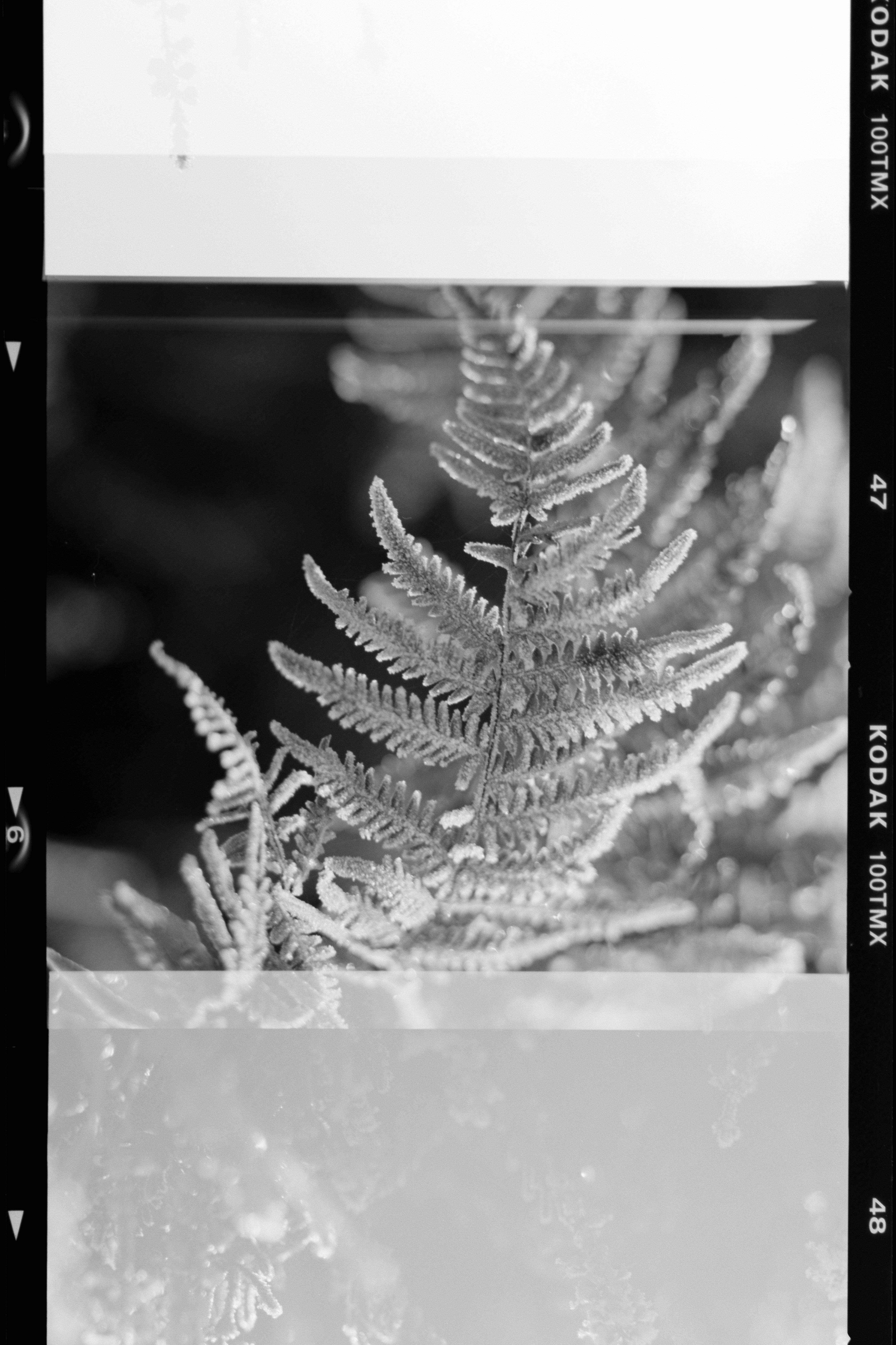 Photo by anniespratt