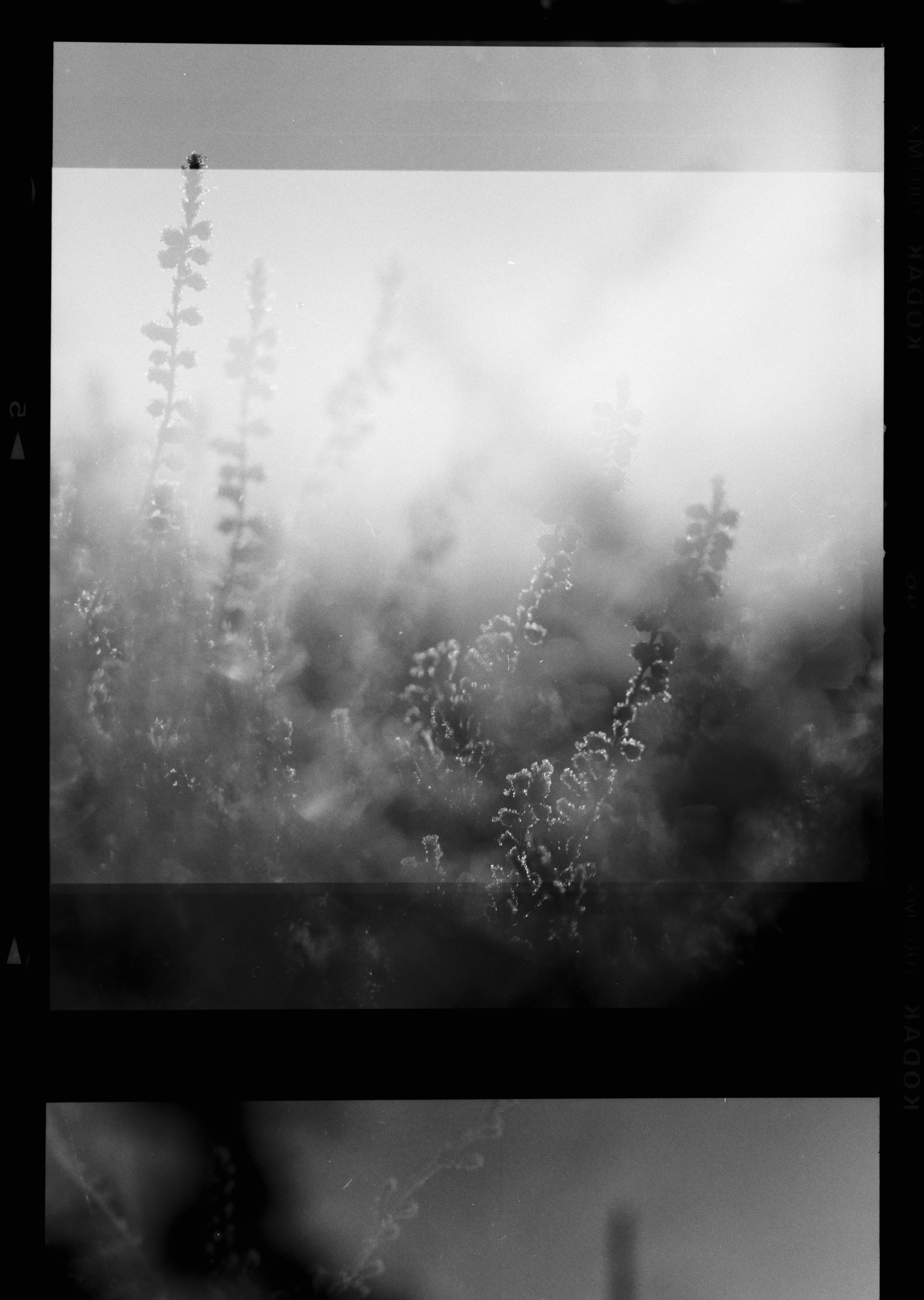 Photo by anniespratt