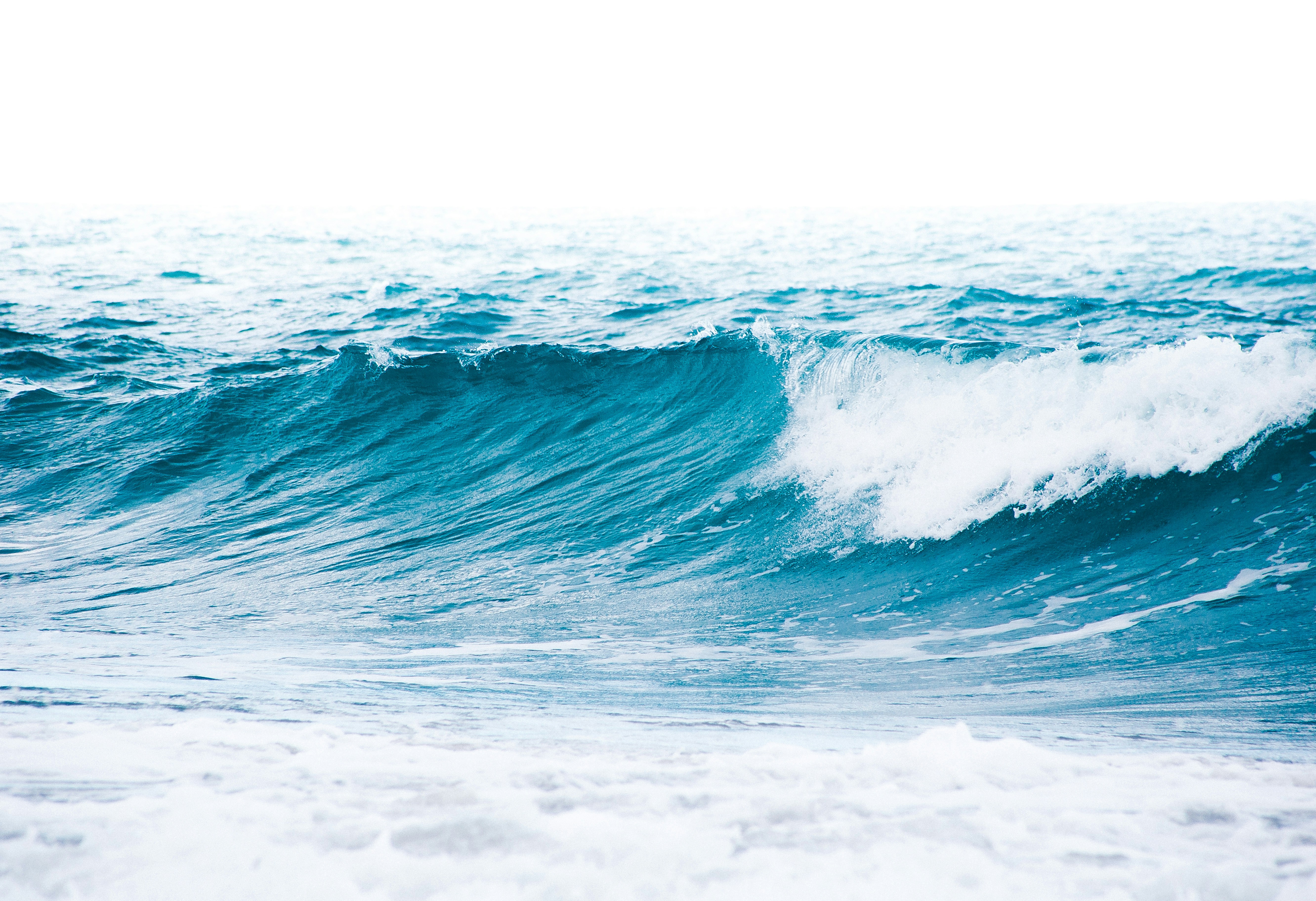 Photo by eusouomatteus