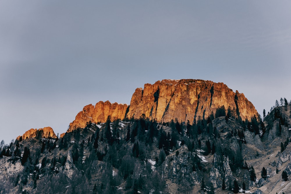 a canyon with a mountain in the background