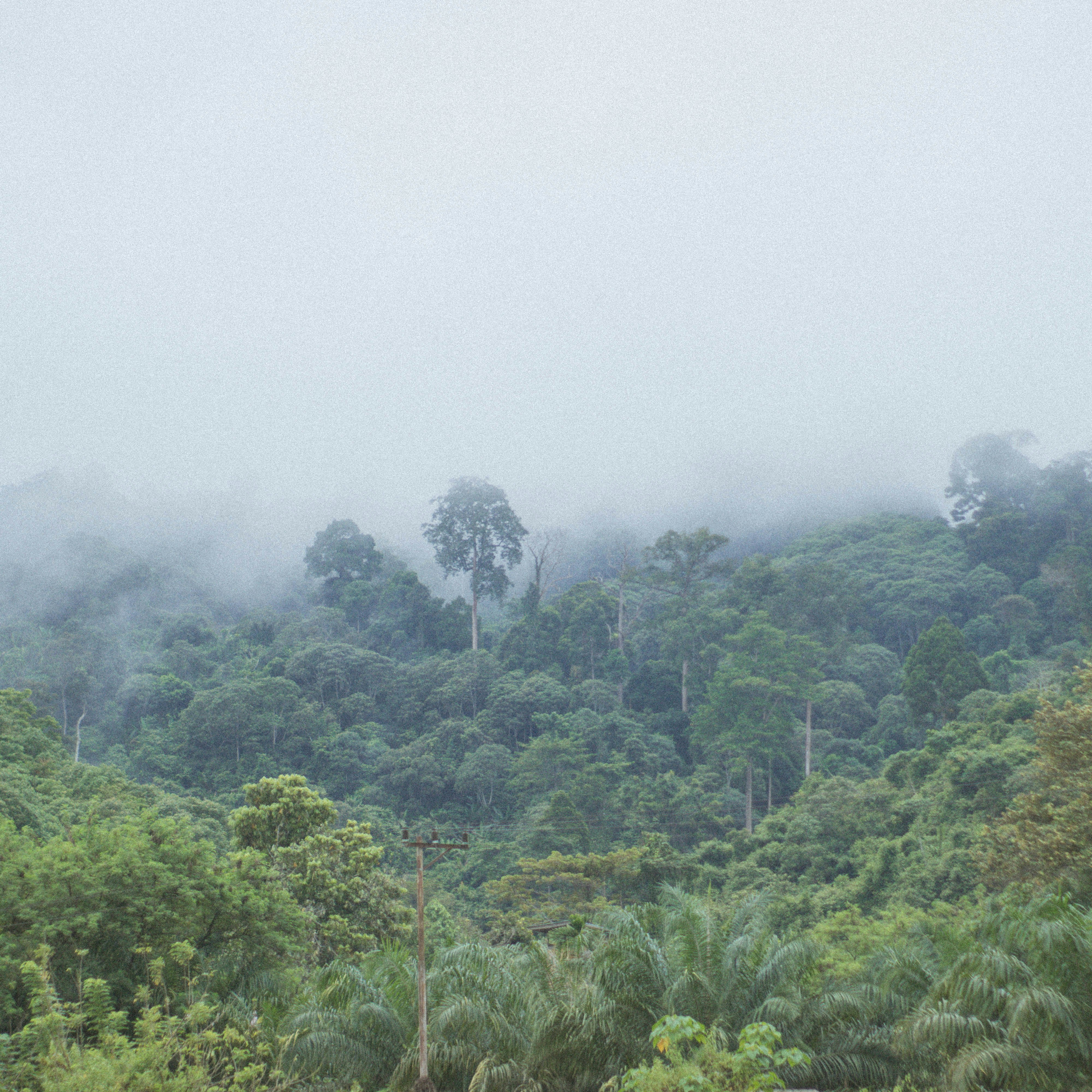 Photo by jonatanael20