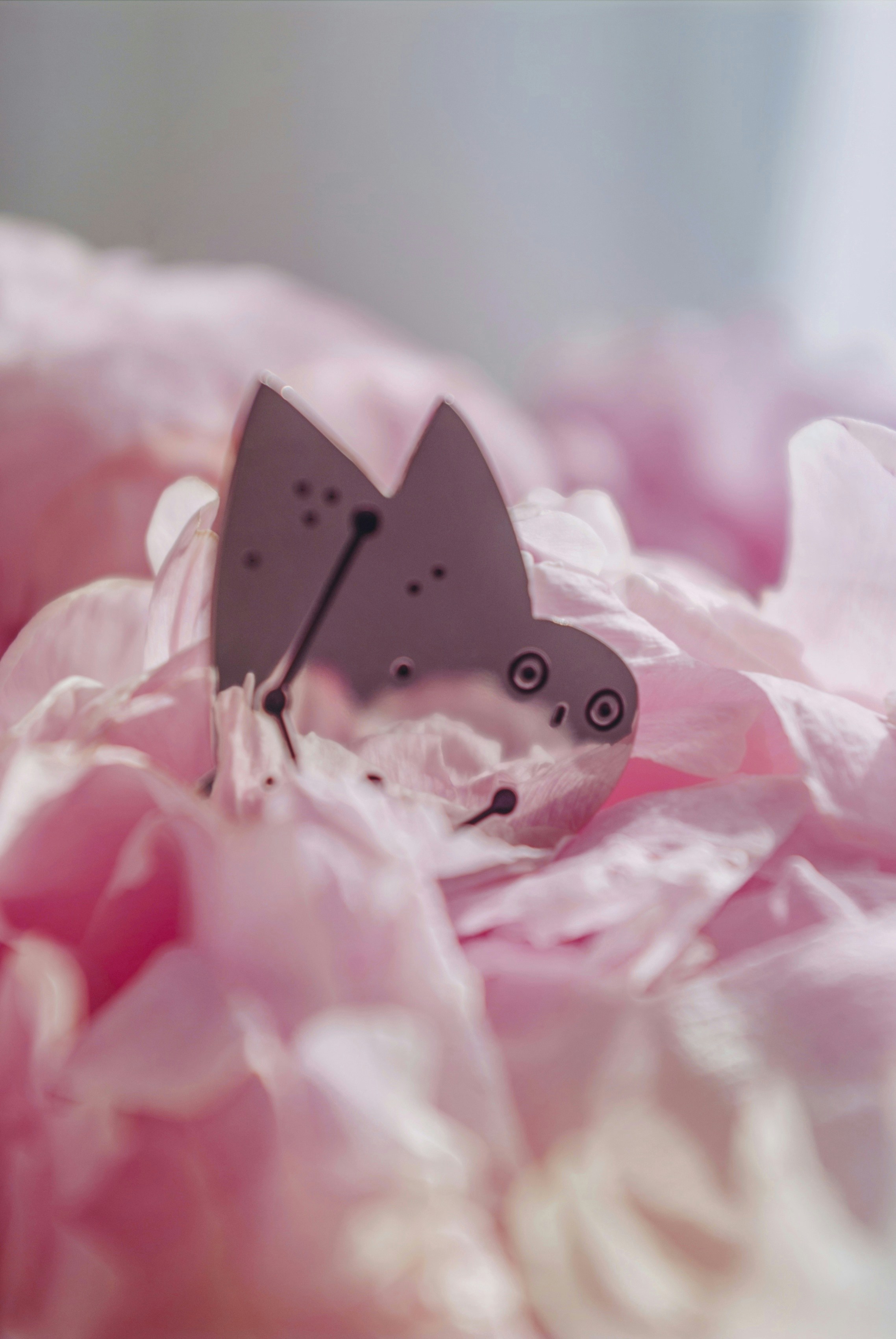 Photo by moonmoons_days