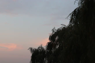 Cover image of an illustrated ebook titled 'Whispers of the Wind', featuring soft pastel colors and a serene nature scene.