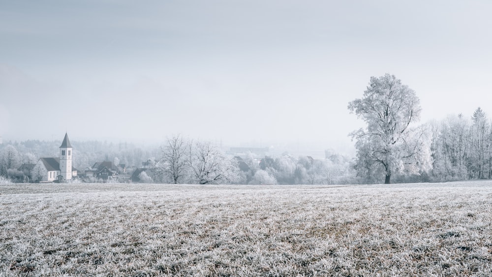 a snowy field with a church in the background