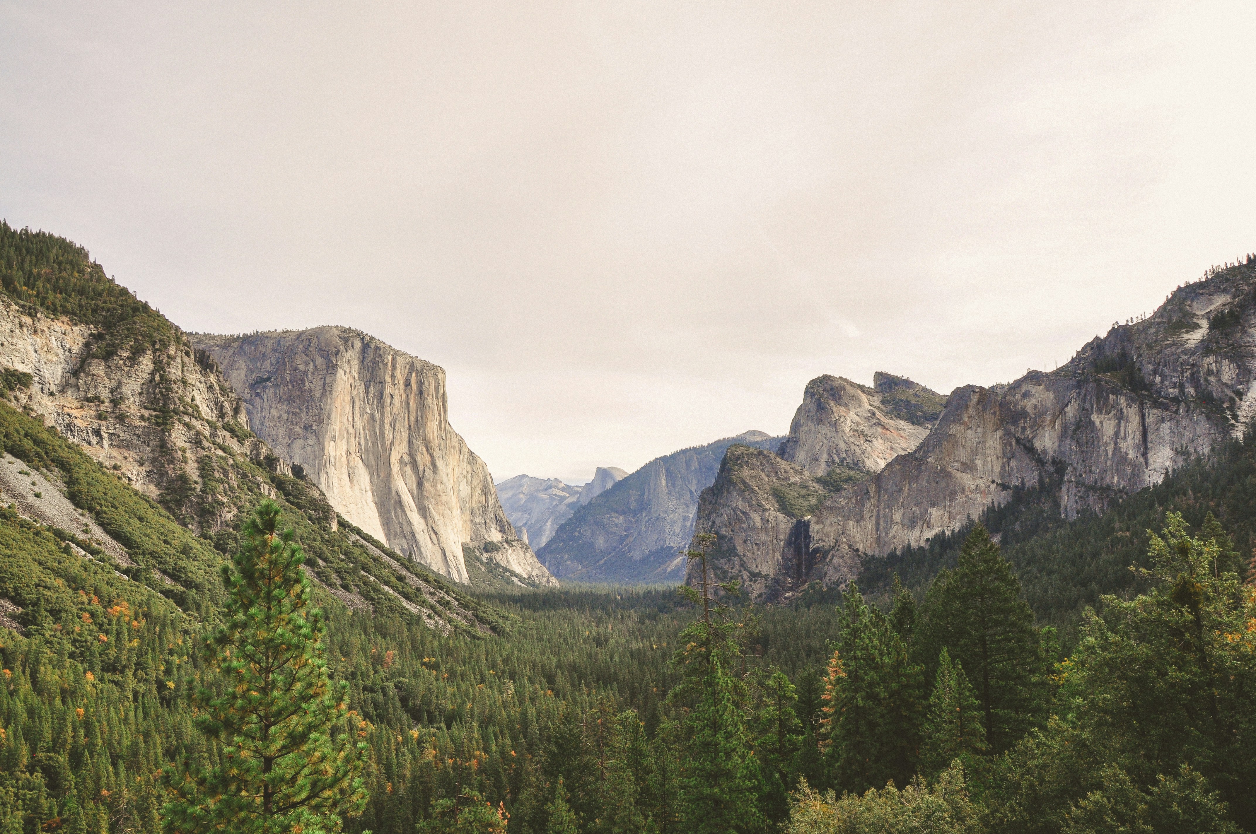 Photo by haleyparson