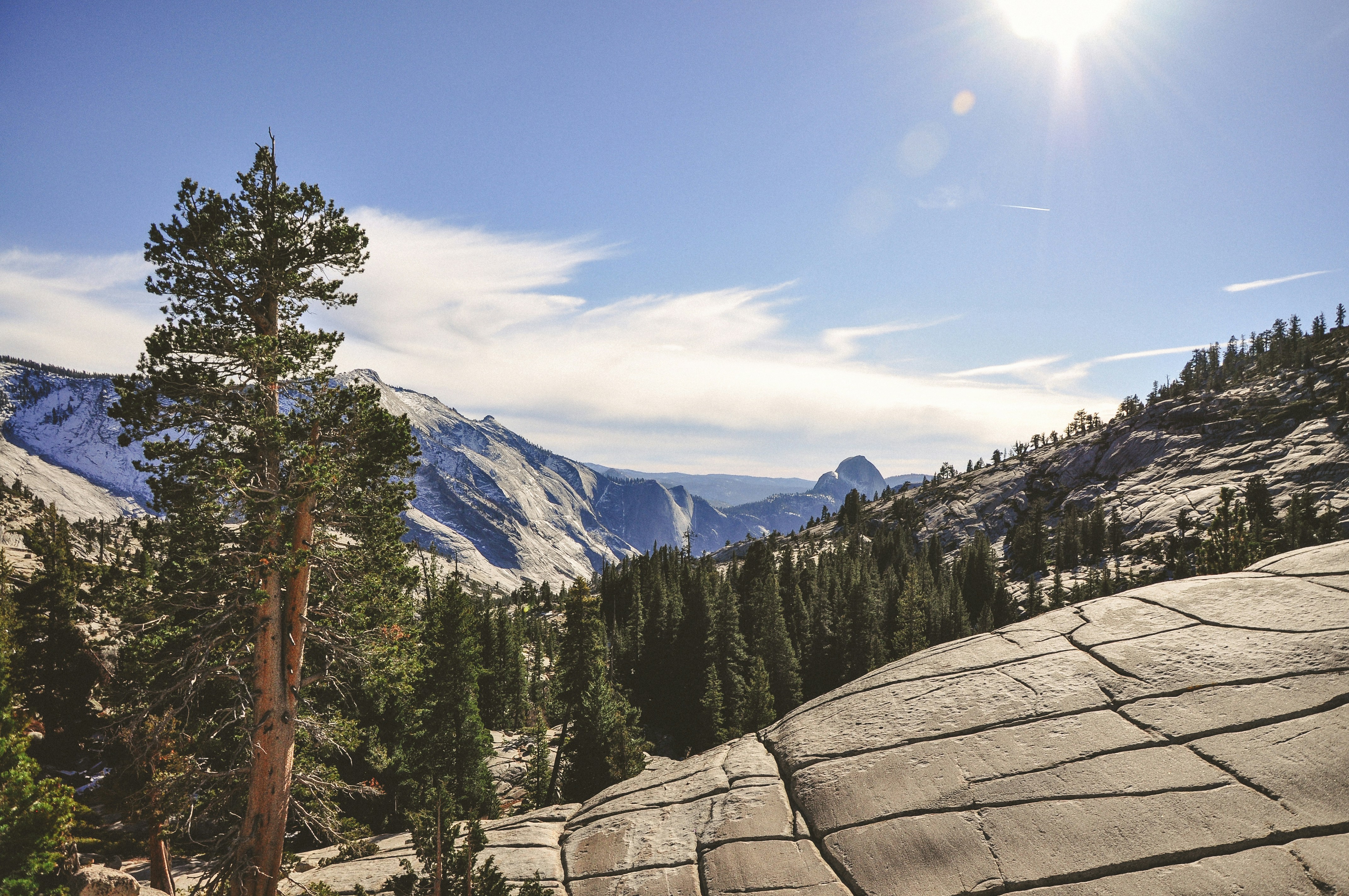 Photo by haleyparson