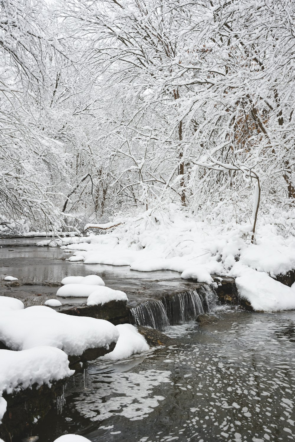 a stream running through a snow covered forest