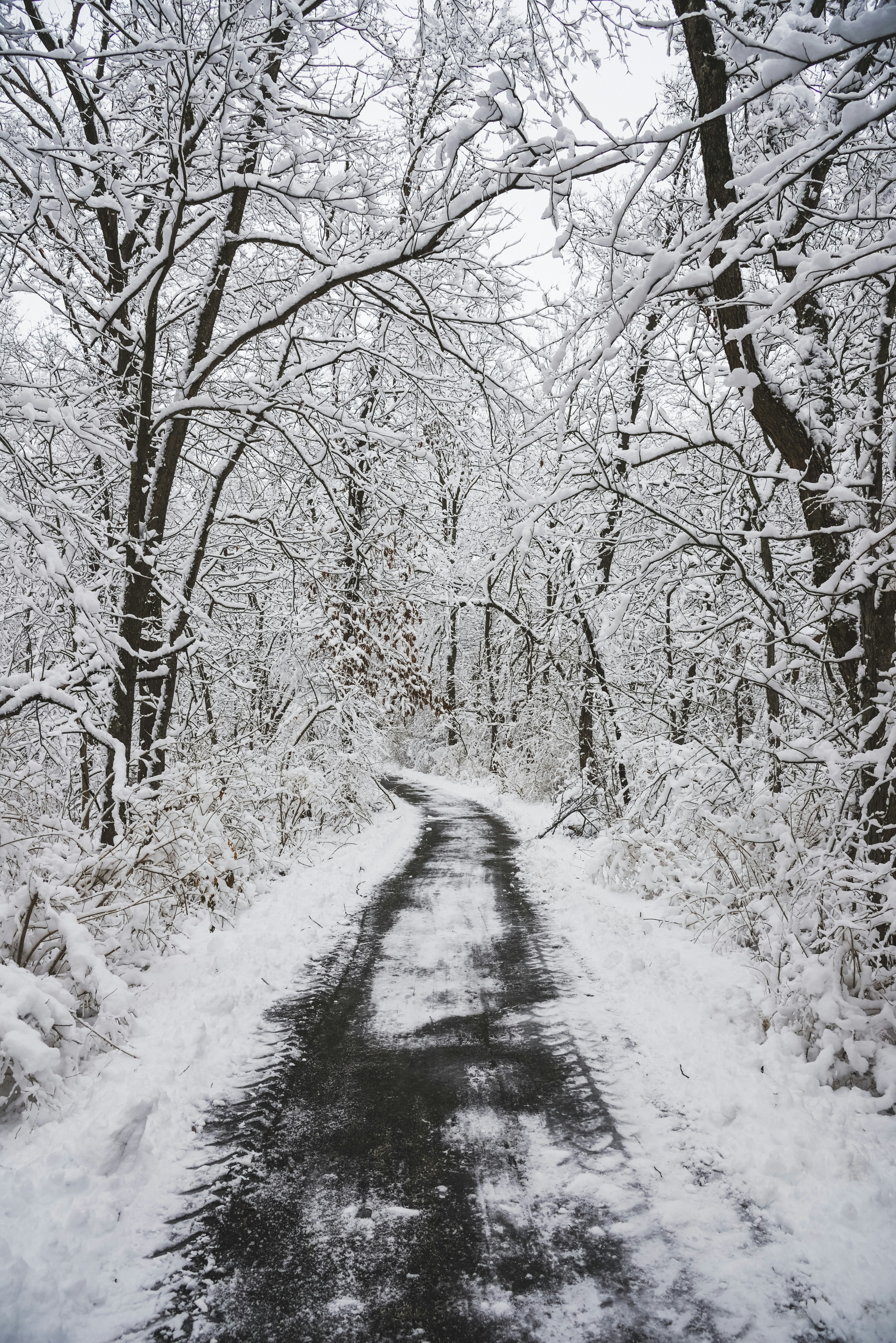 Photo by haleyparson