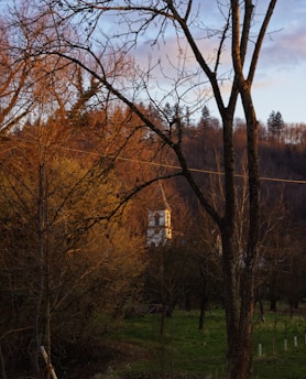 A serene sunrise over the church building, with soft light filtering through tall trees.