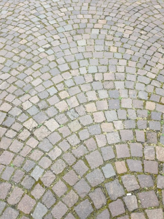 A pattern of cobblestone paving arranged in a circular design, with varying shades of gray and brown stones. Small patches of green moss are visible between some of the stones, adding texture.
