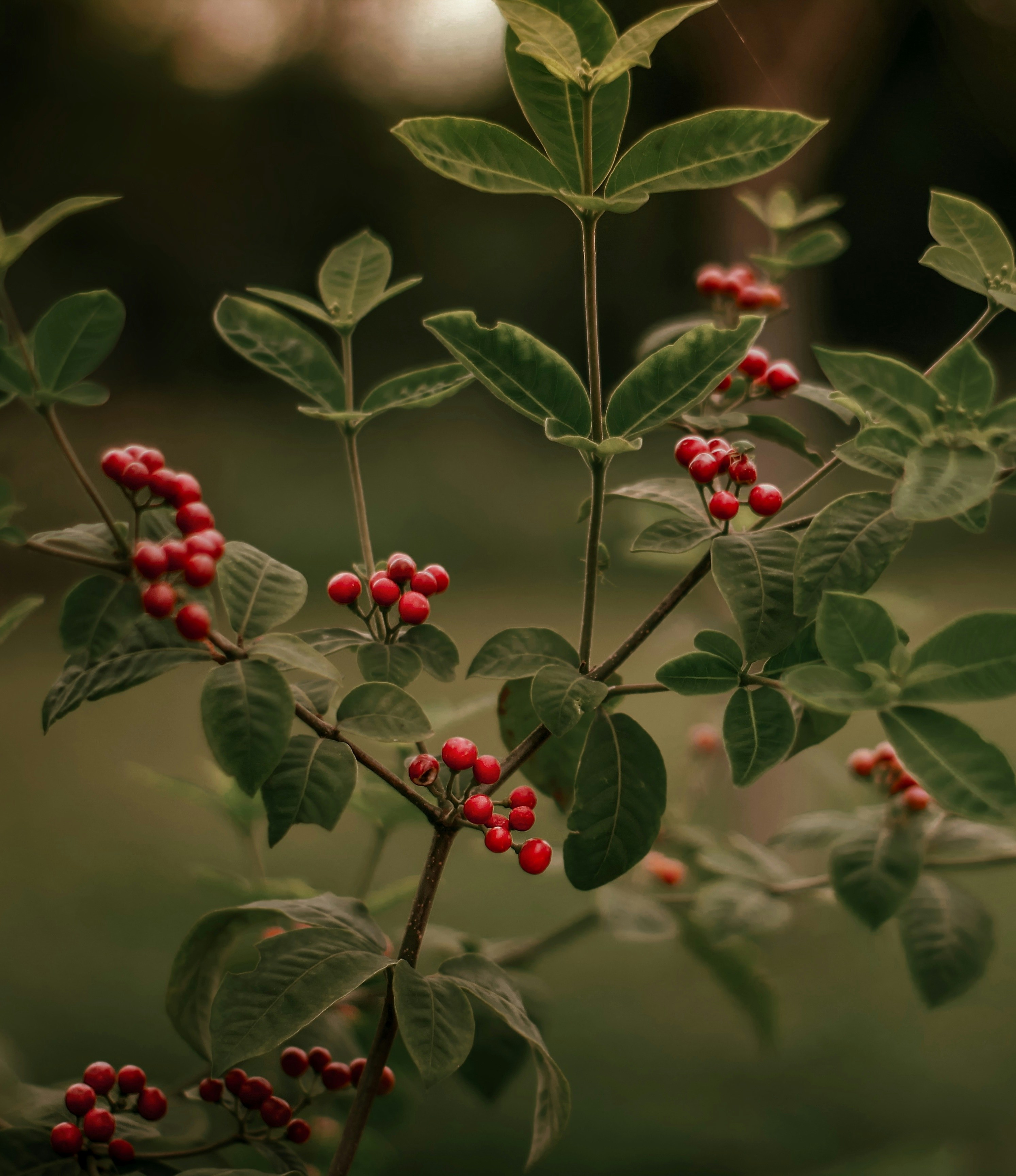 Photo by tusharranjan_