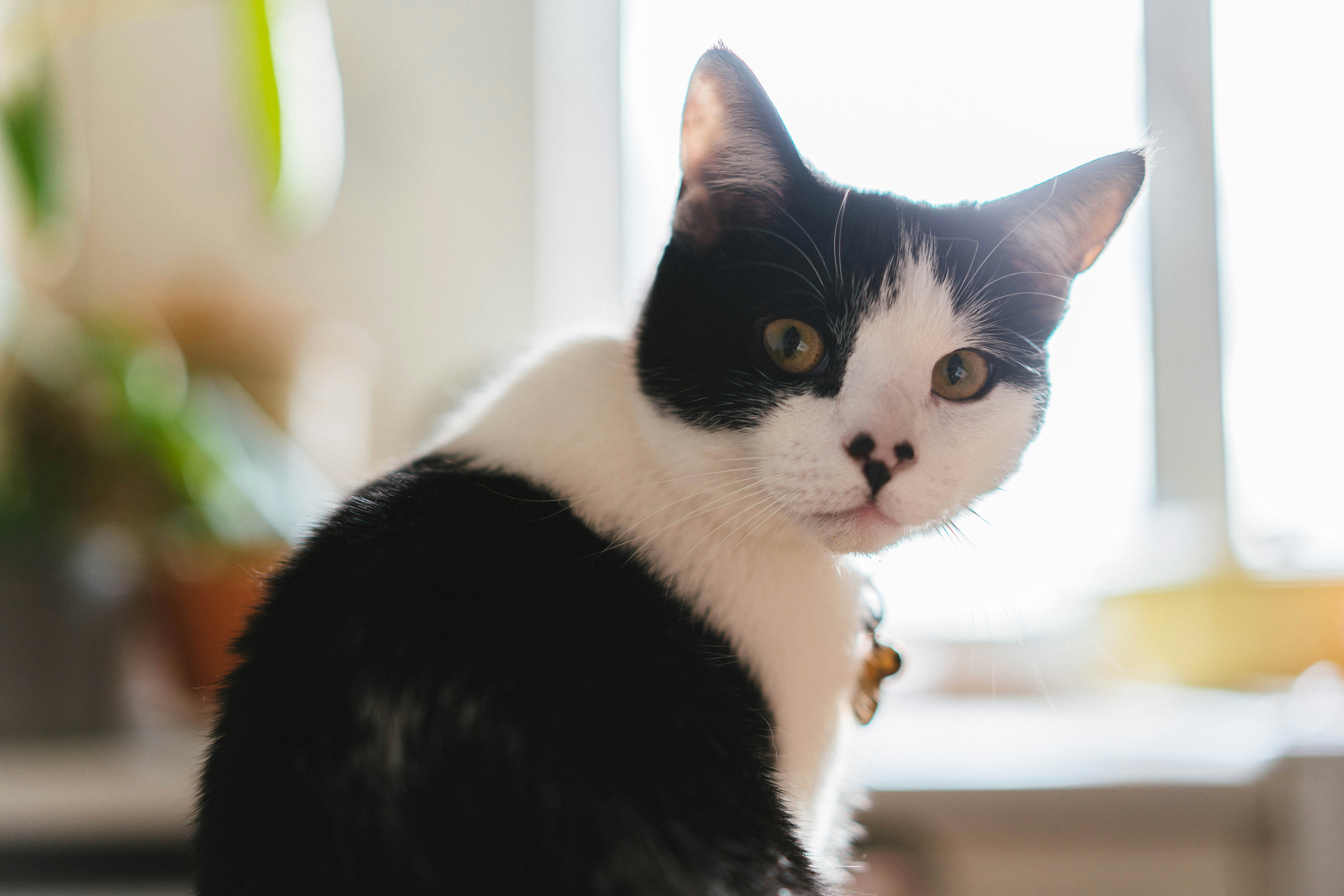 Photo by philhearing