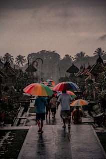 a group of people walking down a street holding umbrellas