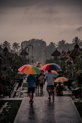 a group of people walking down a street holding umbrellas