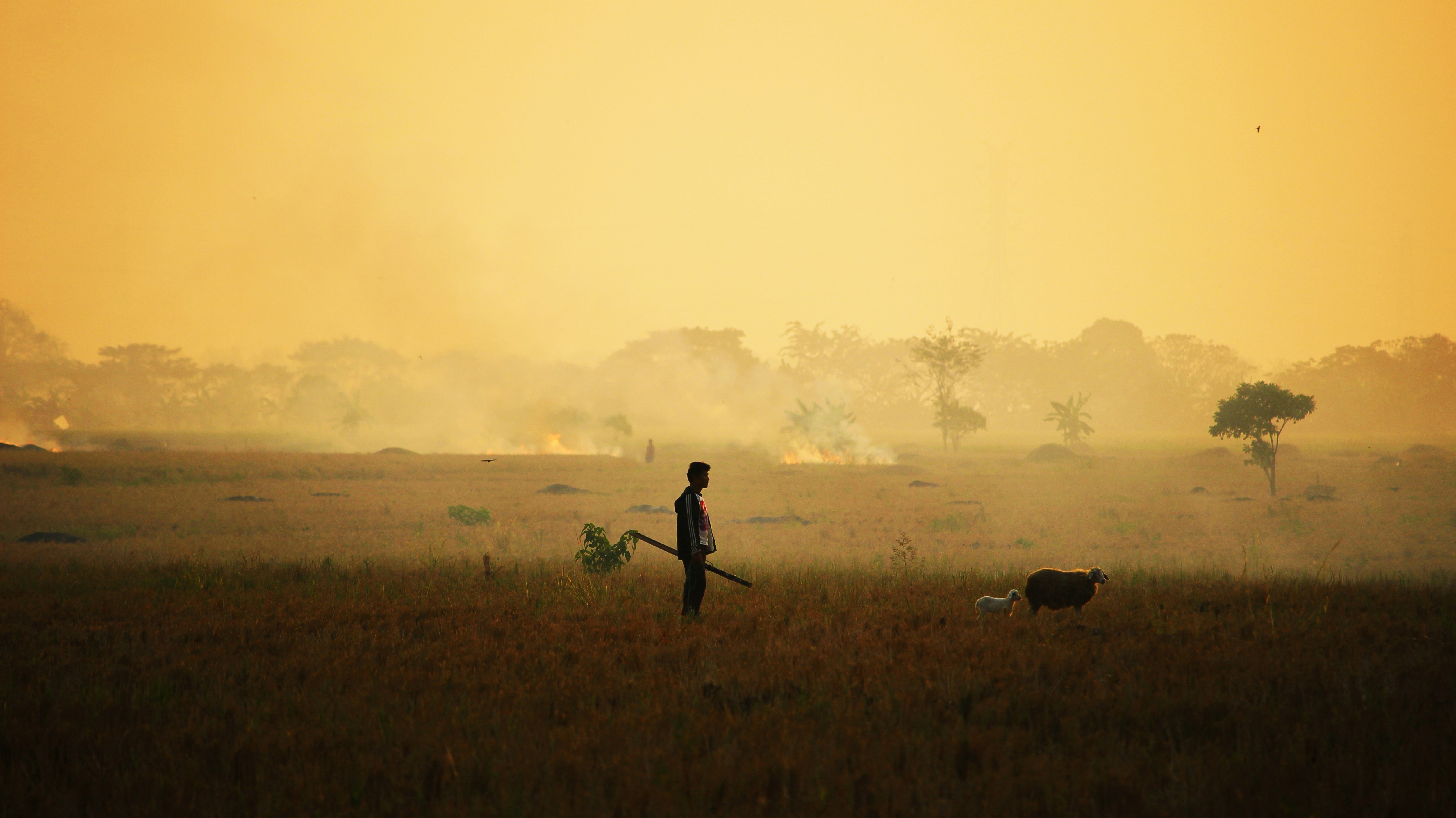 Photo by gilangmahardika