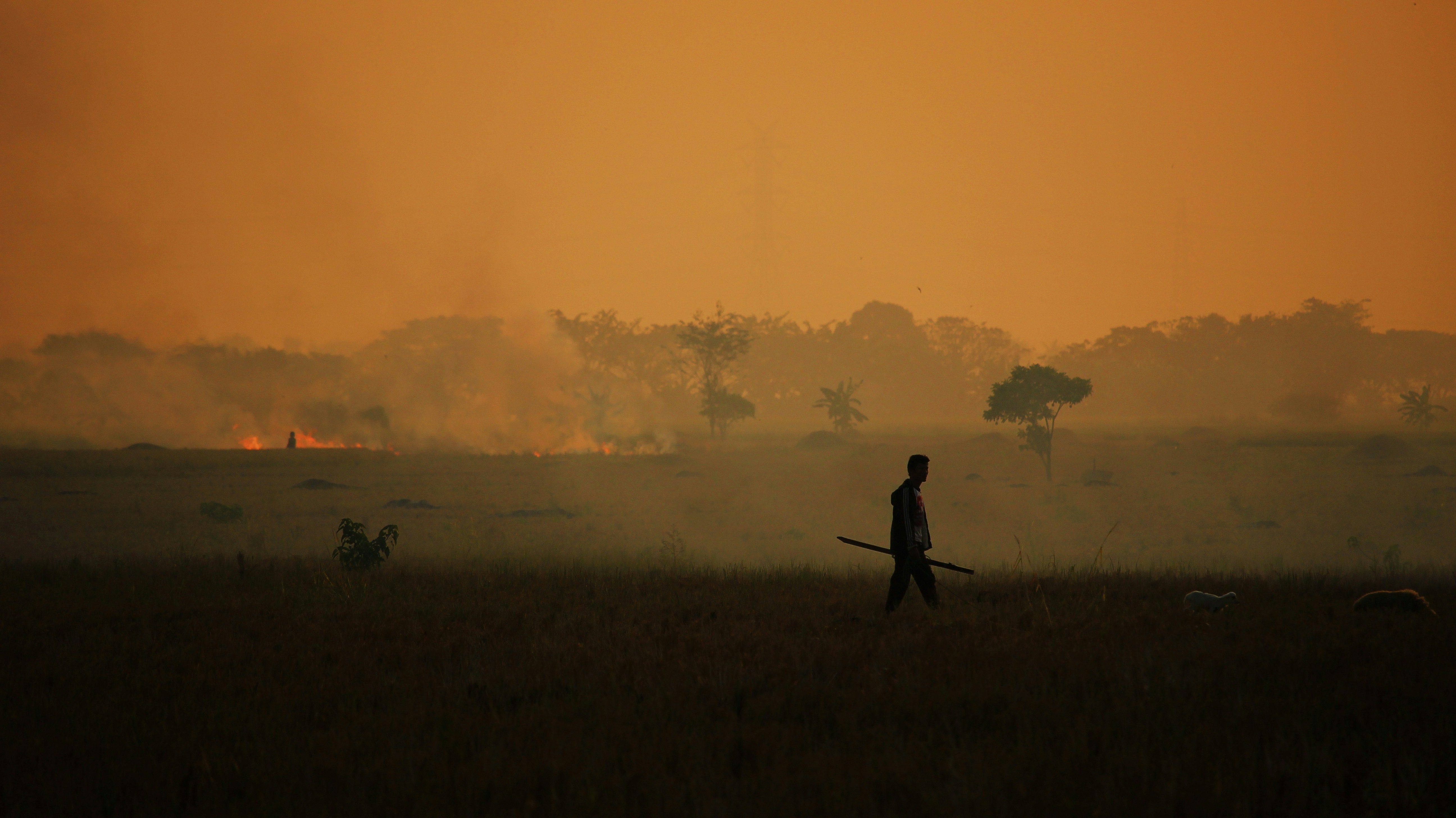a man walking through a field with a long stick