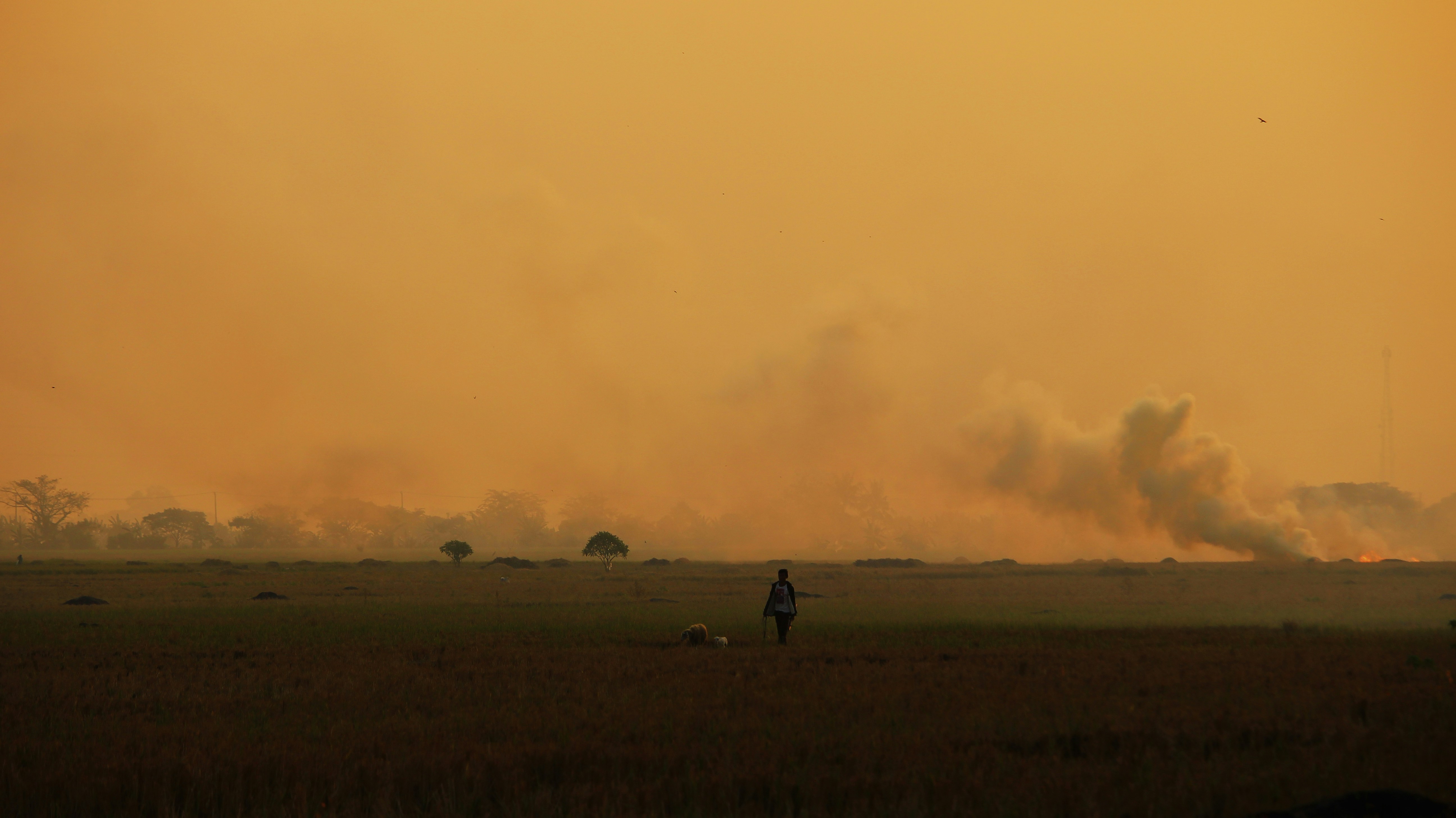 Photo by gilangmahardika