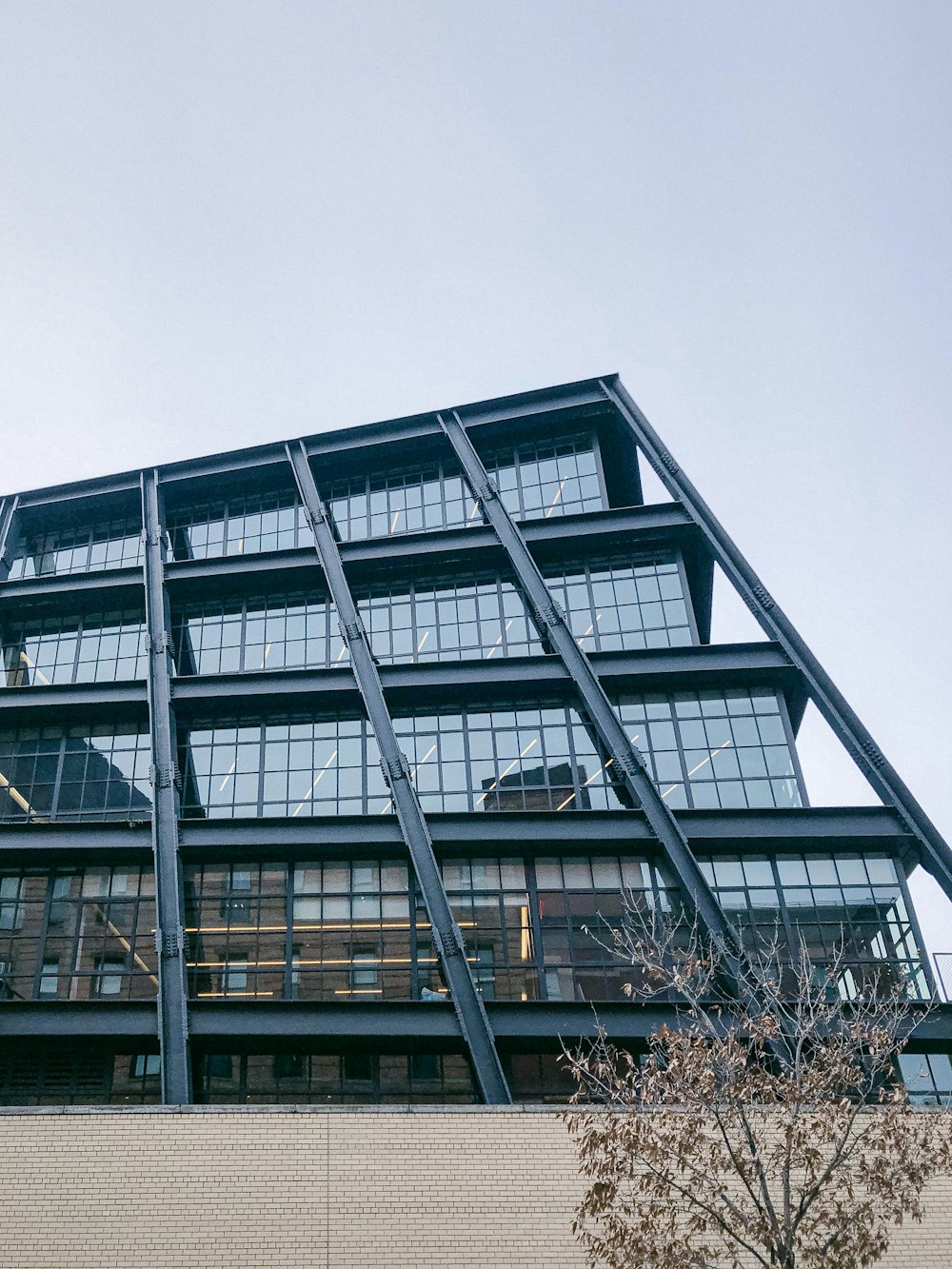 Un edificio alto con muchas ventanas junto a un árbol