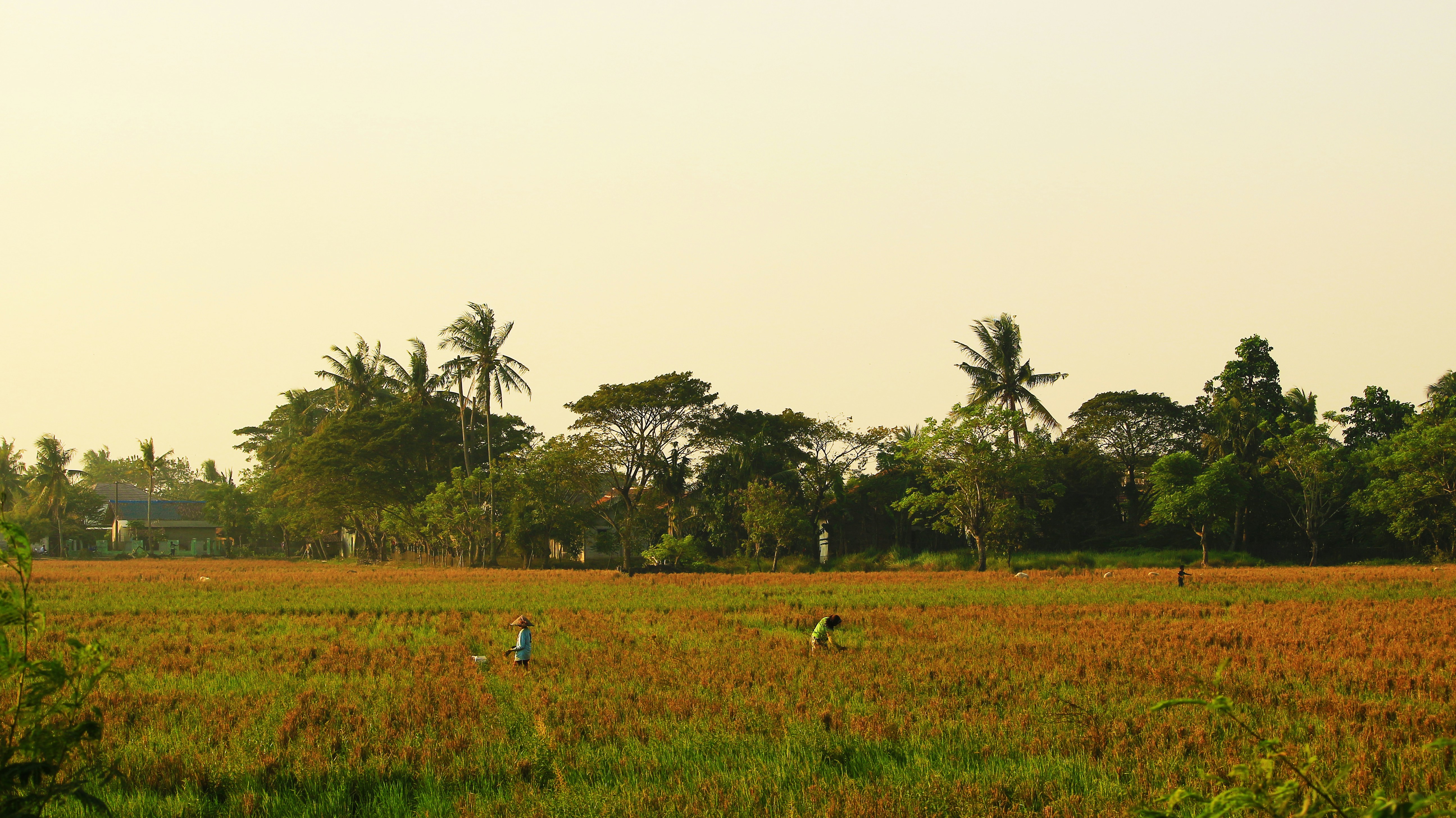 Photo by gilangmahardika