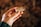 A hand holding a wine cork with the word 'Kutman' printed on it, against a blurred background. The cork appears slightly worn, suggesting it might have been used. The hand is well-manicured, with light-colored polish on the nails.