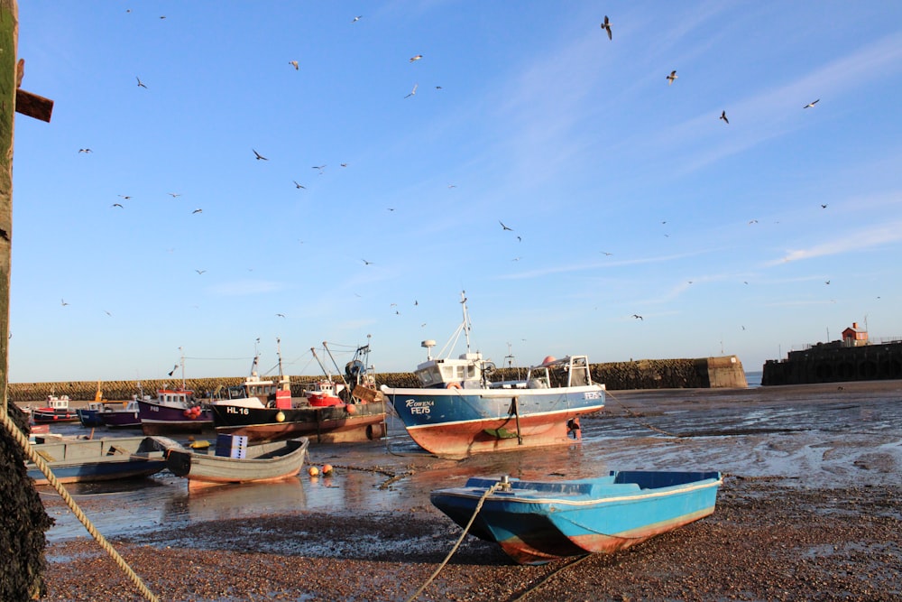 a group of boats sitting on top of a beach