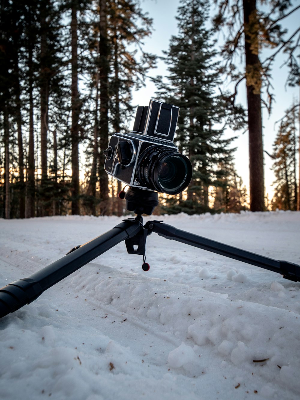 a camera sitting on top of a tripod in the snow