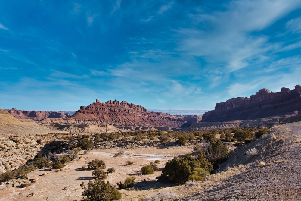 a scenic view of a desert with mountains in the background