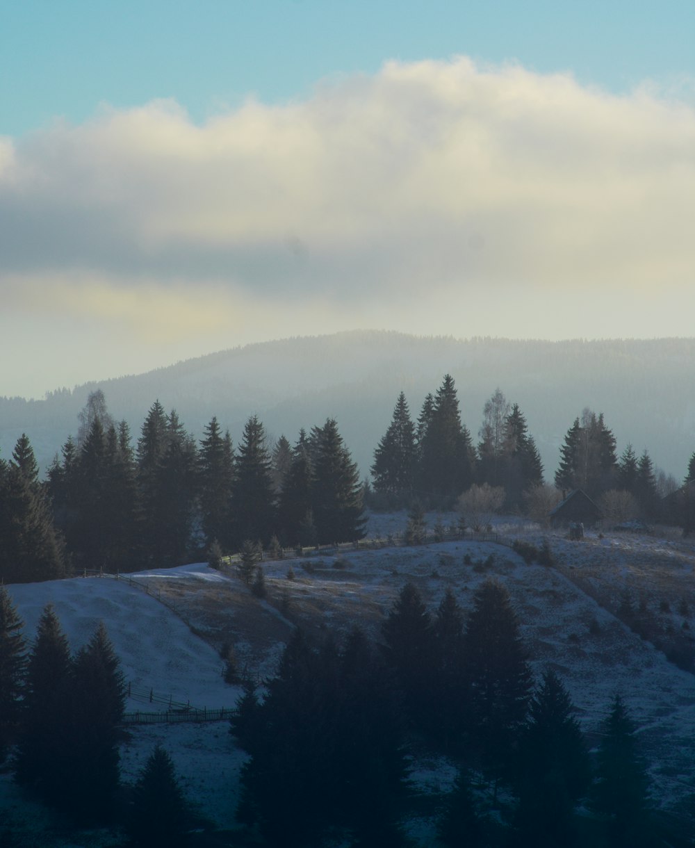 a view of a mountain range with trees in the foreground