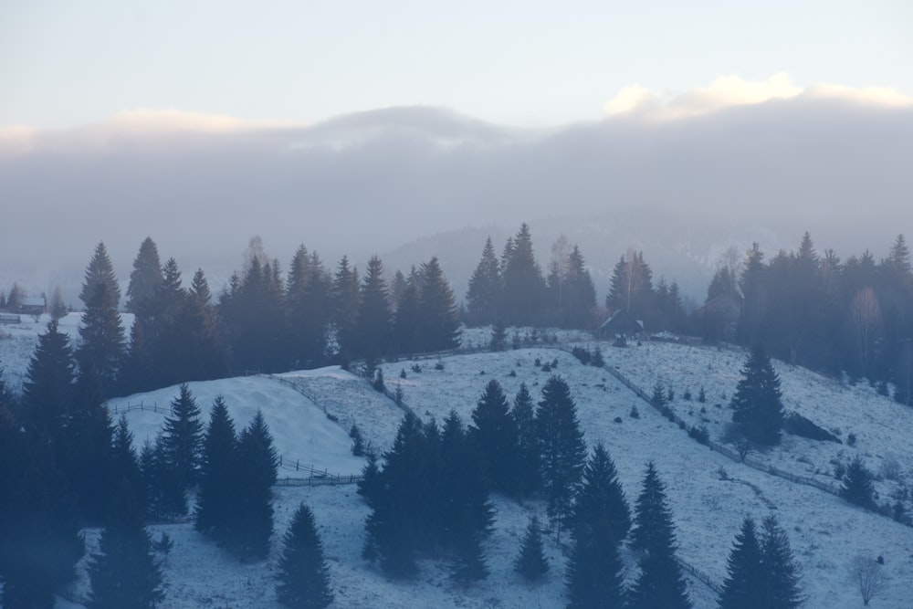 a snowy landscape with trees and mountains in the background