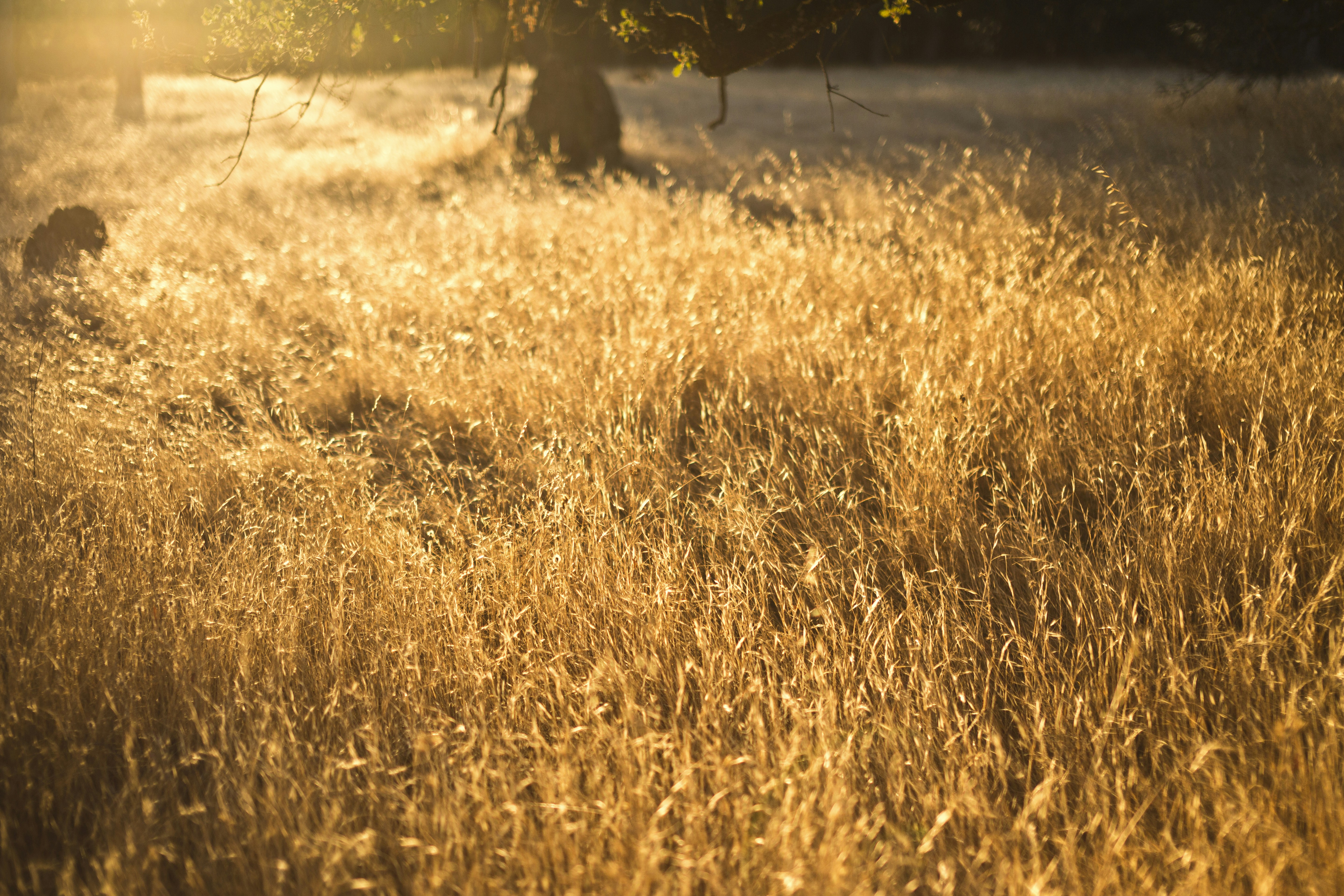 Photo by bezer