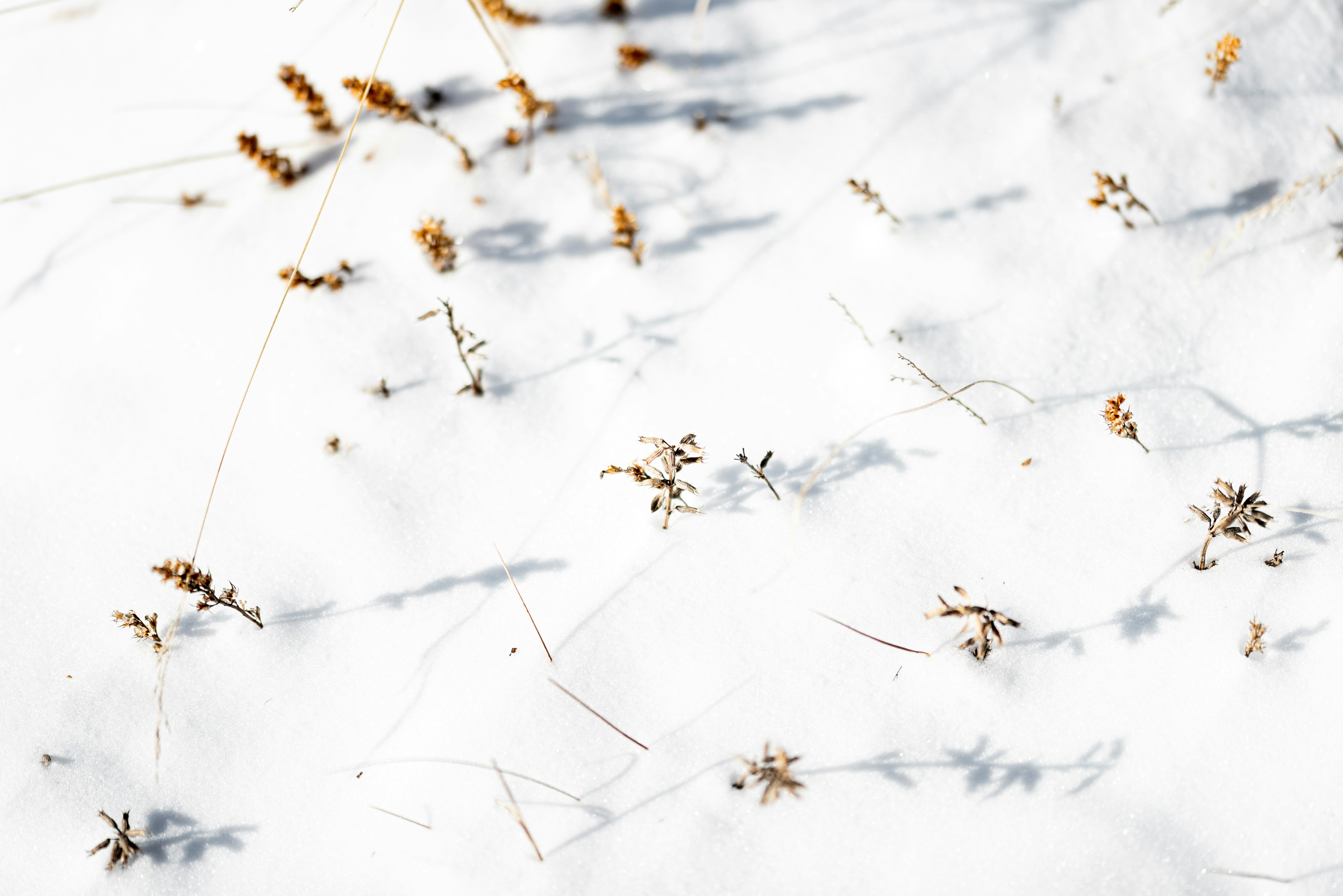 Photo by lauraadaiphoto