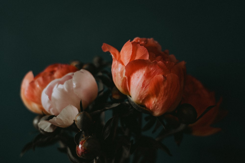 a close up of a vase with flowers in it