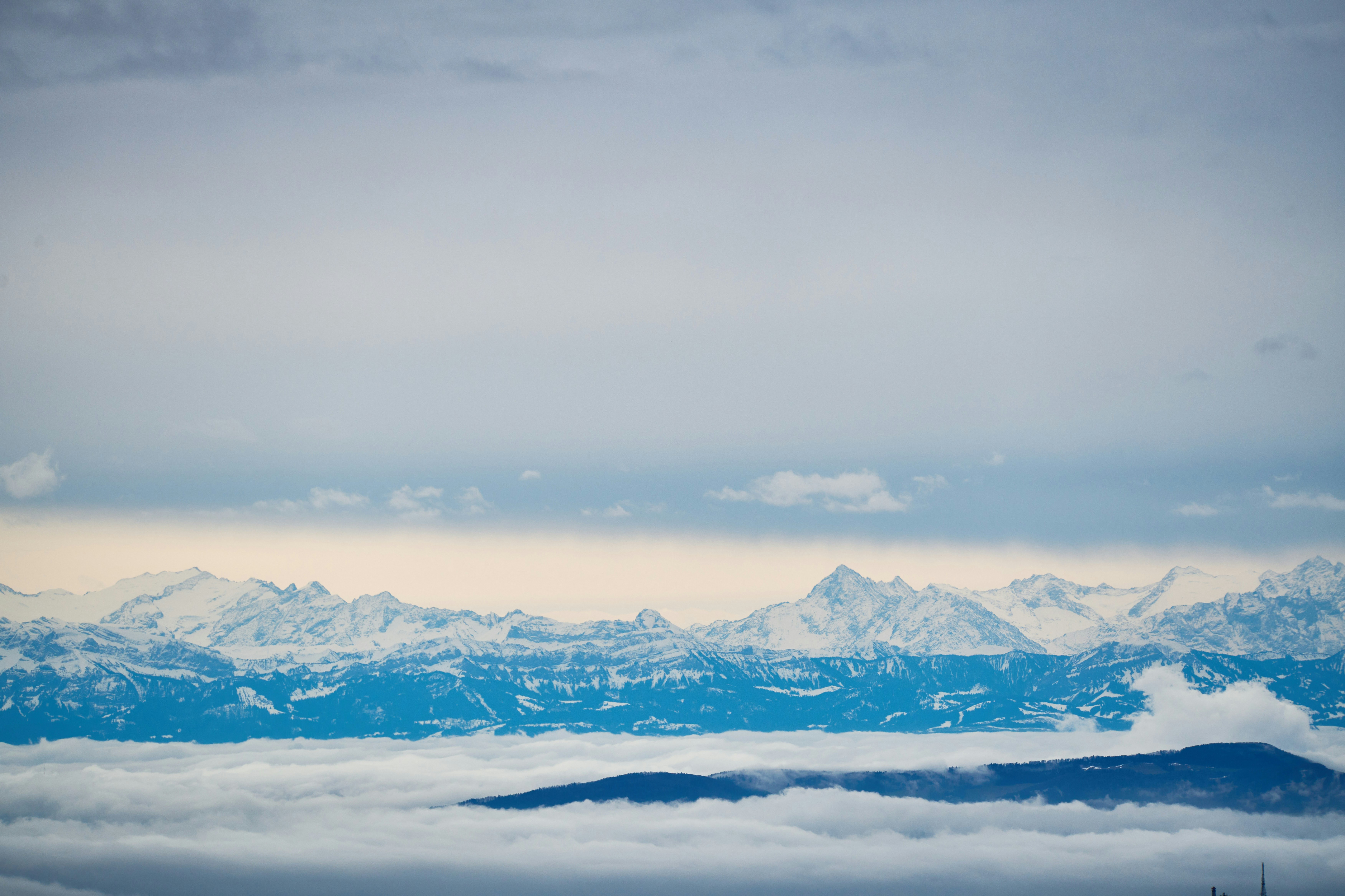 Photo by wolfgang_hasselmann