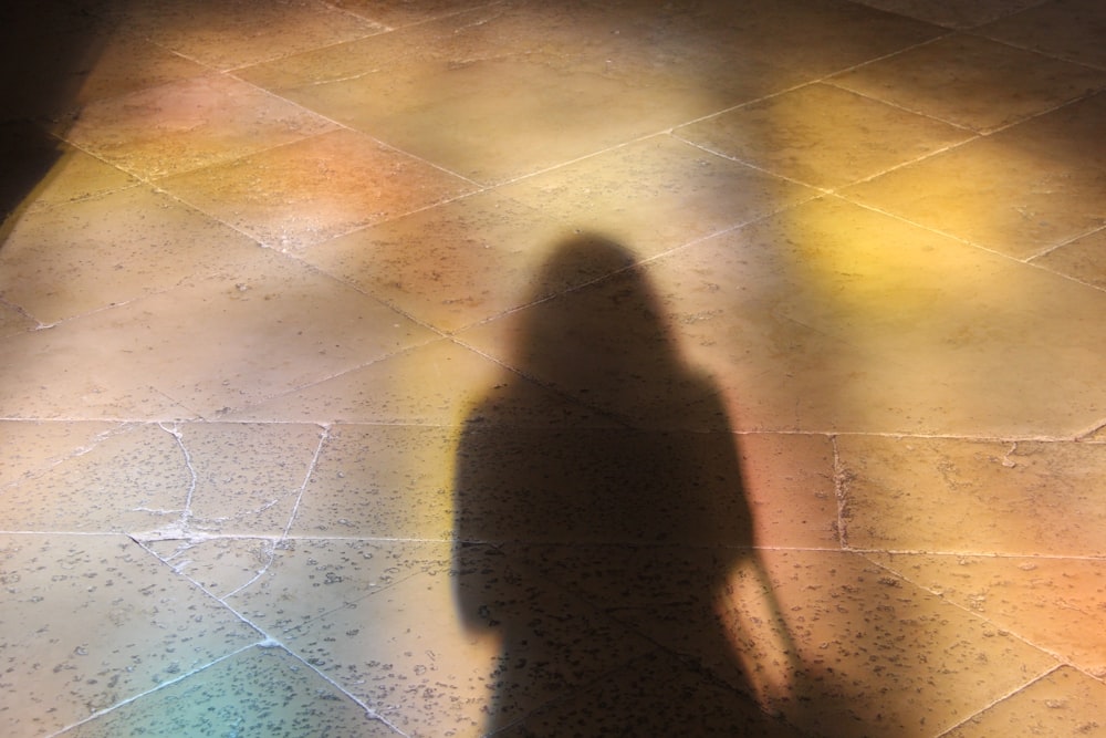 a shadow of a person standing in front of a stained glass window