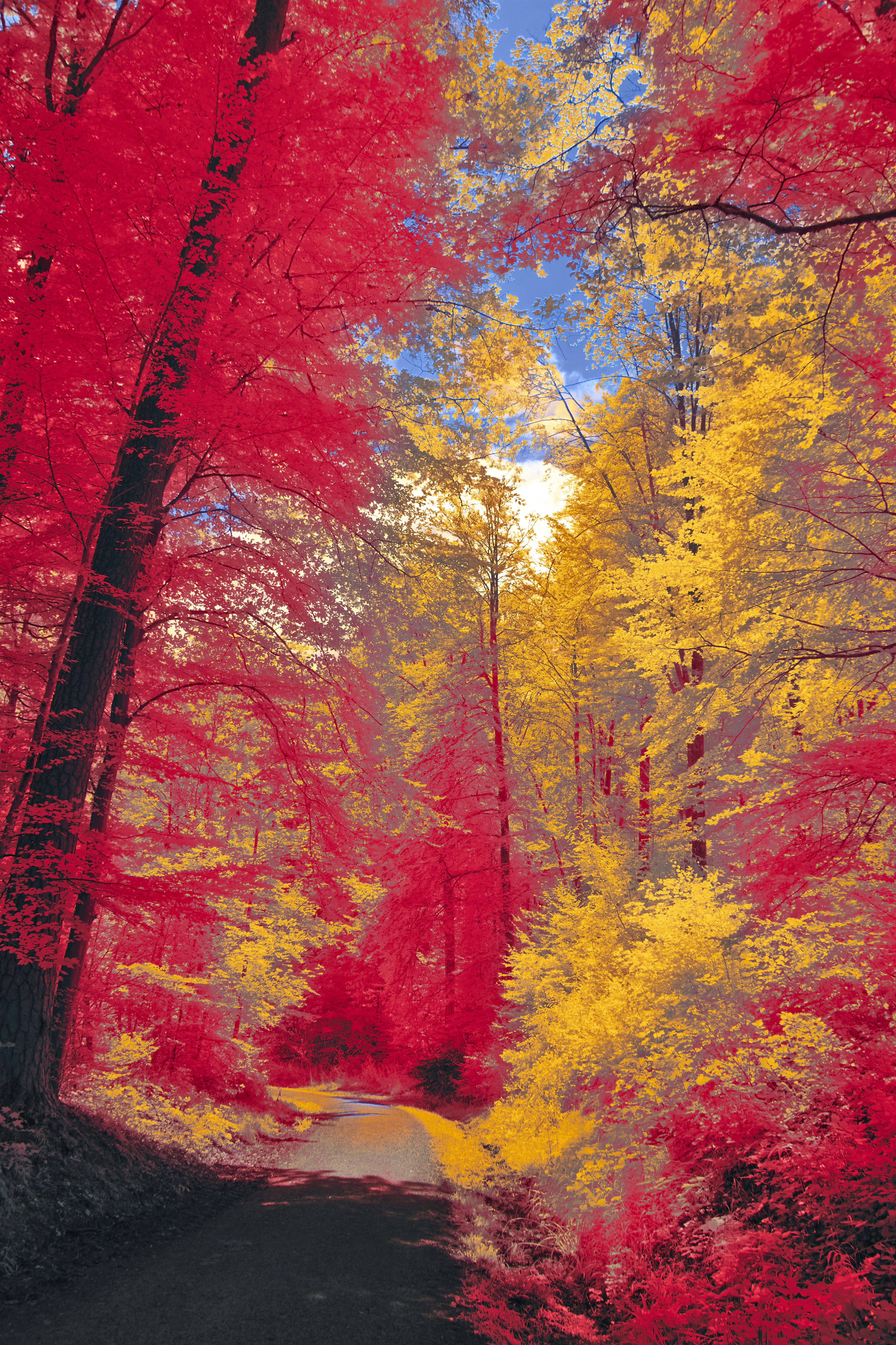 Photo by wolfgang_hasselmann