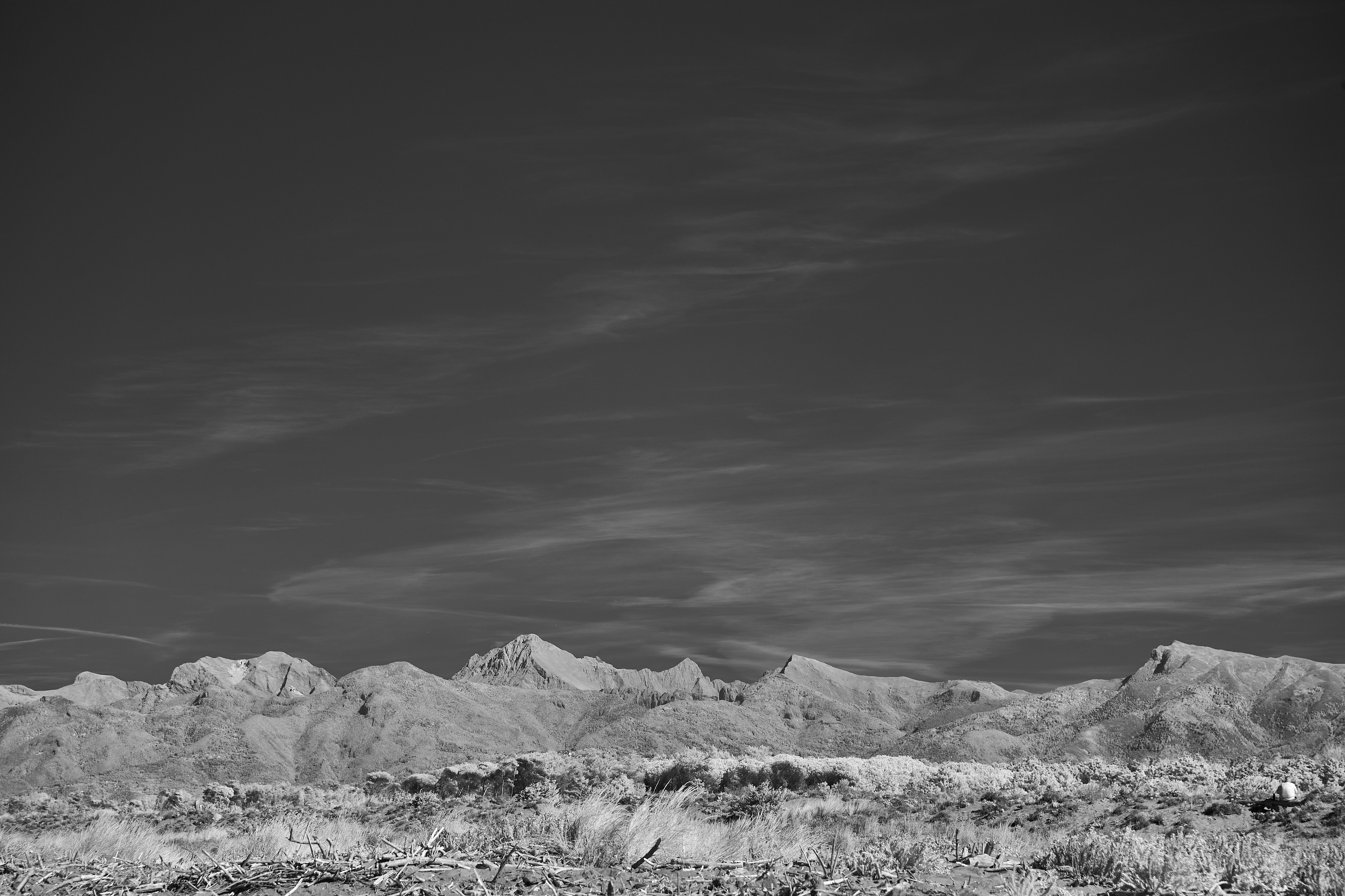 Photo by wolfgang_hasselmann